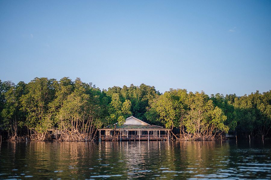 Peam Krasop Wildlife