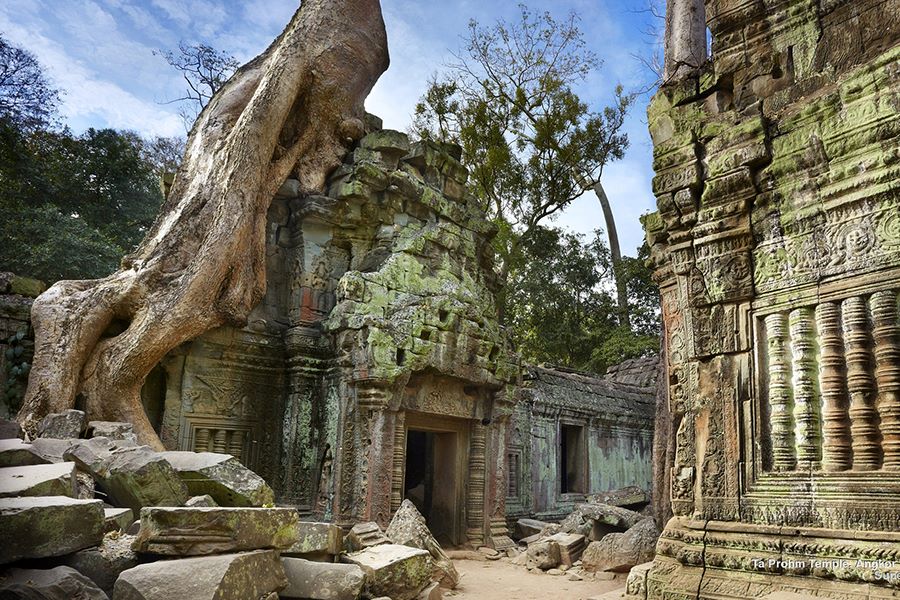 ta prohm temple of angkor