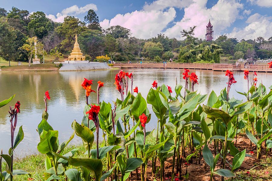 National Kandawgyi Gardens